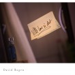 David Bogen «Ville bare si det»