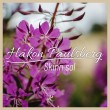 Håkon Paulsberg «Skinn sol»