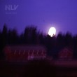 Ni Liv «Finne jula»
