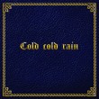 Steinar Albrigtsen «Cold, Cold Rain»