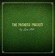 Steinar Albrigtsen «The Pacheco project»