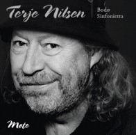 Terje Nilsen «Møte»