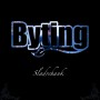 Albumcover for Byting «Sladrehank»