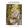 Albumcover for Joakim Solbakken «Trust in burdened times»