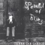 Albumcover for Spoonful of Blues «Three Car Garage»